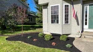 after mulch installation