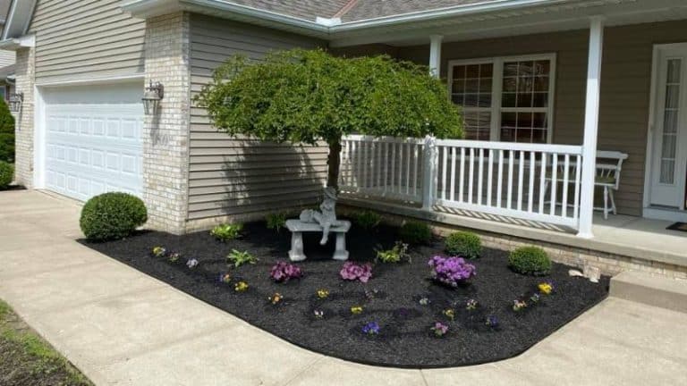 Popular Softscape Landscaping Ideas