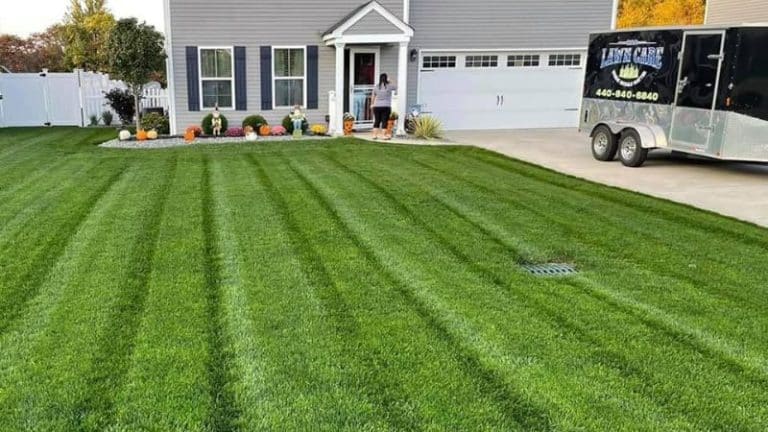 The Fall Is A Great Time To Give Your Lawn Some Attention