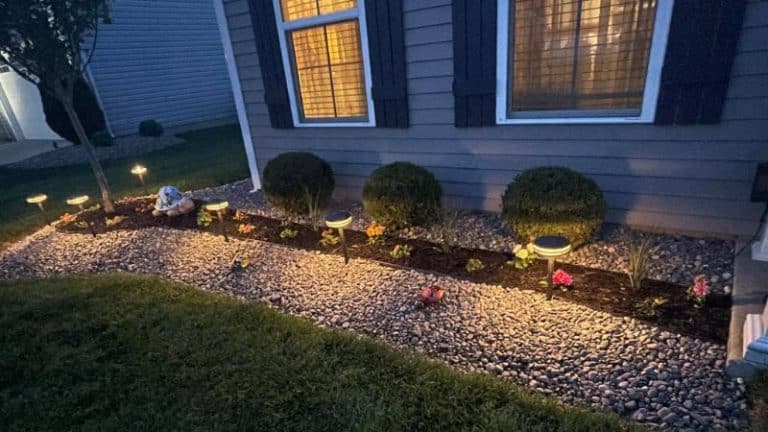 How To Light Up Your Backyard