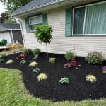 mulch installation