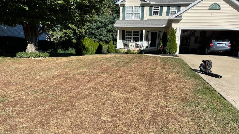 leaf removal