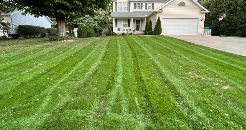 New Lawn Installation Using Seed