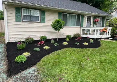 Mulch Installation