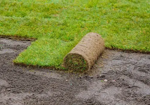 Sod Installation