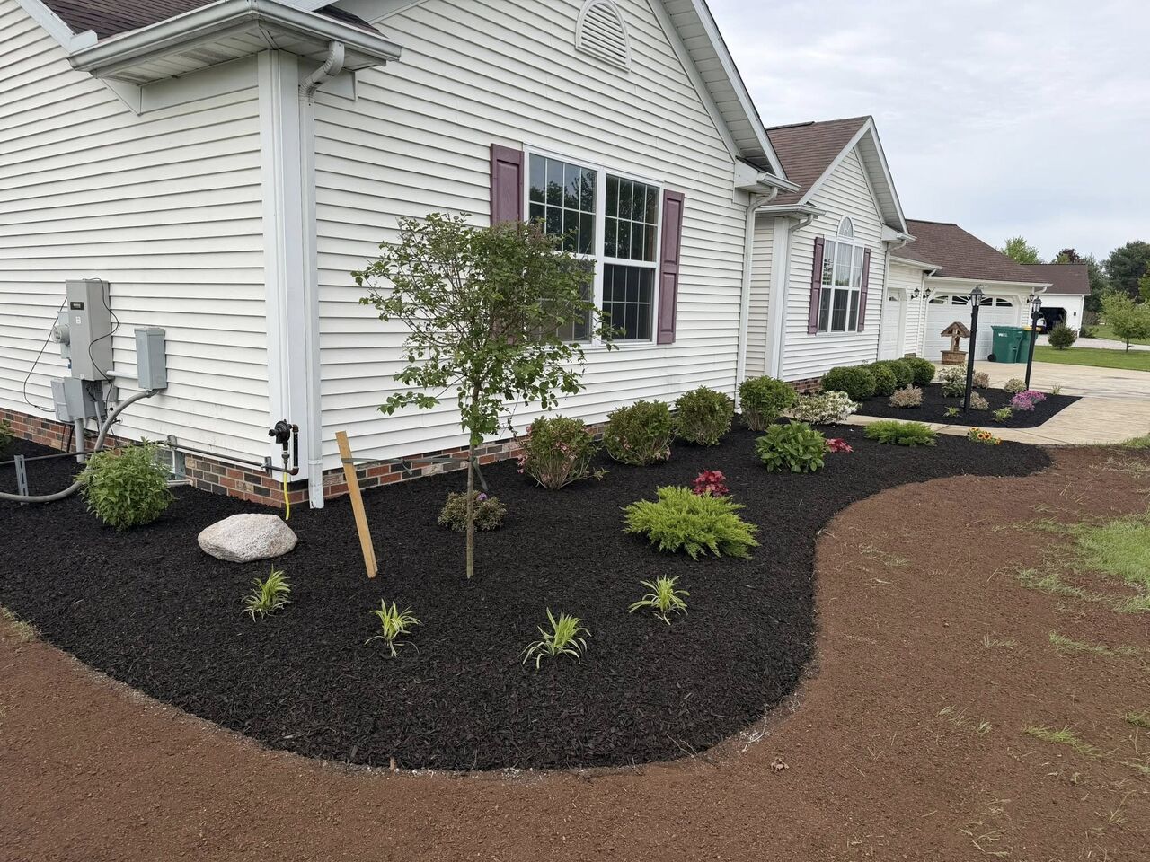 Front yard landscaping with dark mulch, small trees and shrubs along the house. curved mulch bed by the siding.