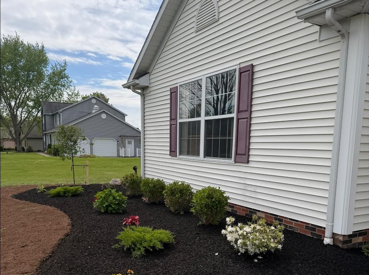 Mulched front garden with small shrubs and colorful flowers along a white house with purple shutters.