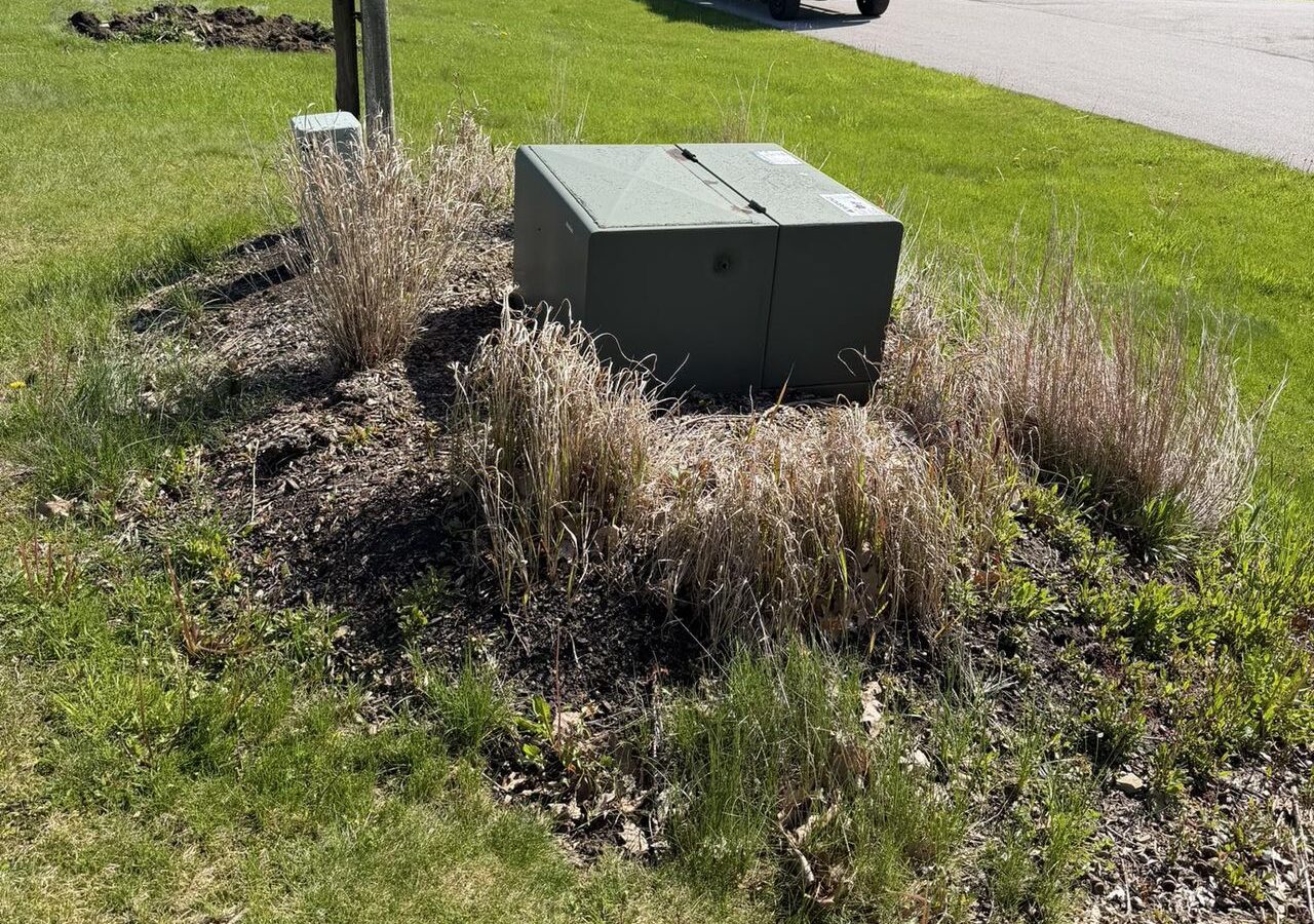 Metal electrical utility box in a mulch bed with dry grasses, located at a grassy park edge; two pickup trucks and a trailer are visible on the road in the background on a sunny day.