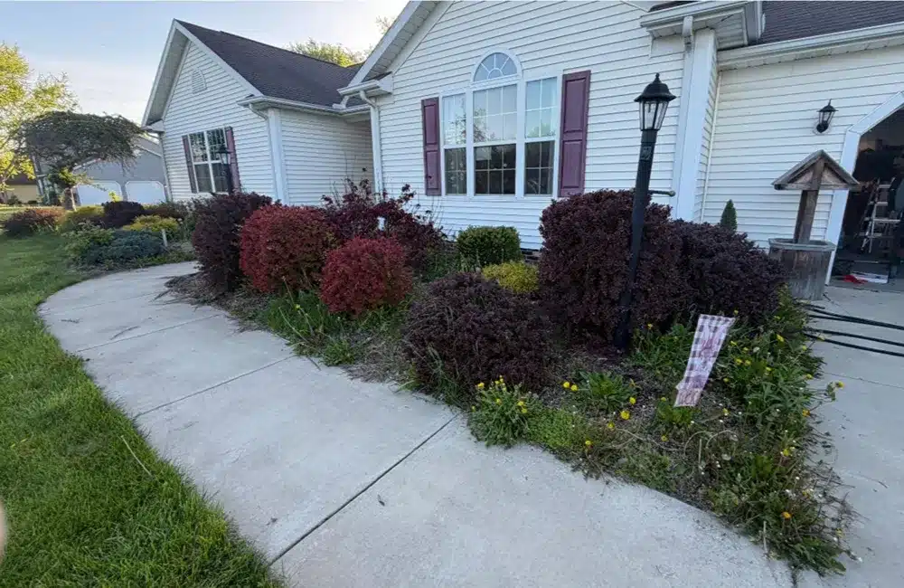 White suburban house with an arched front window, purple shutters, and a curved concrete walkway beside a bed of red and purple shrubs.