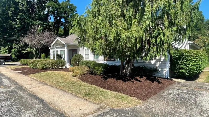 Property after professional brush clearing in Lake County Ohio