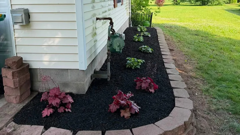 Cleared residential property after brush removal in Northeast Ohio