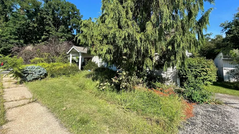 Overgrown property before brush clearing in Lake County Ohio