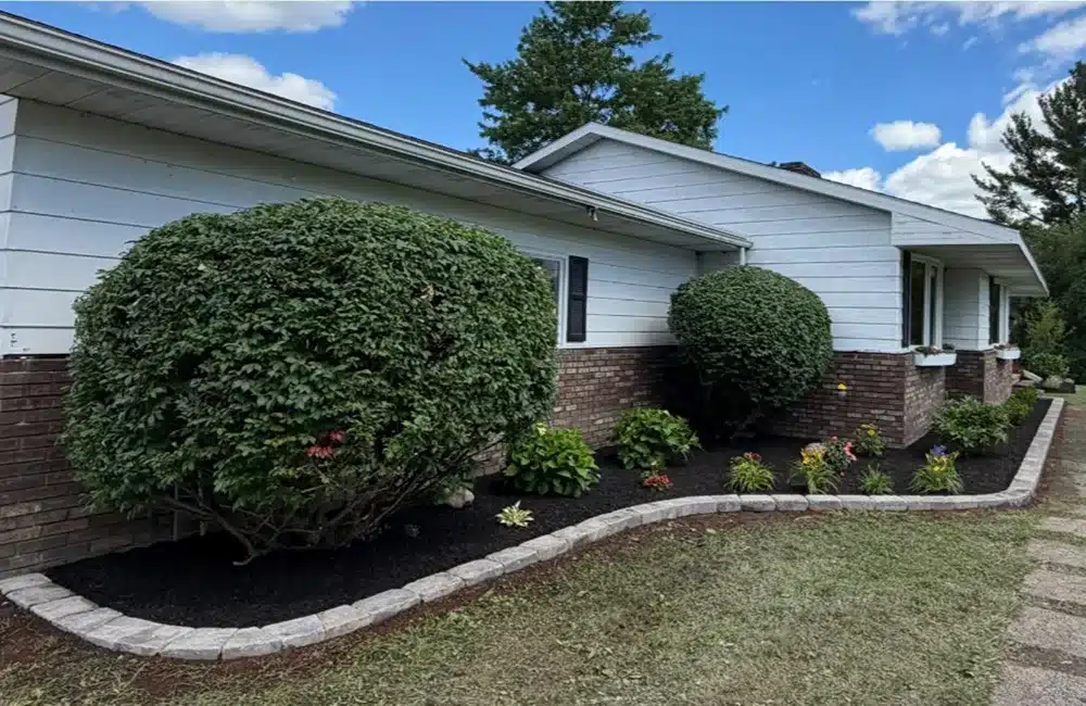 Overgrown front yard transformed into a clean, modern, low-maintenance front yard.