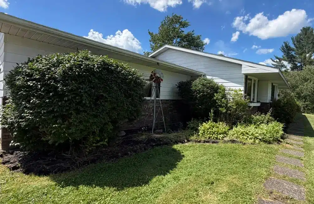 Overgrown high-maintenance front yard.