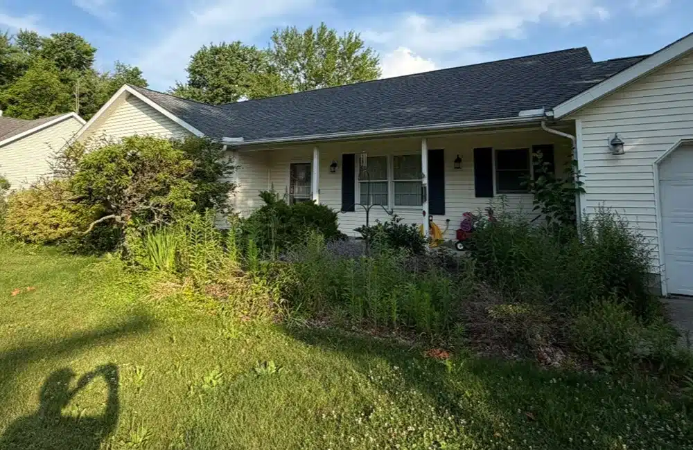 Overgrown Front Yard Before Makeover