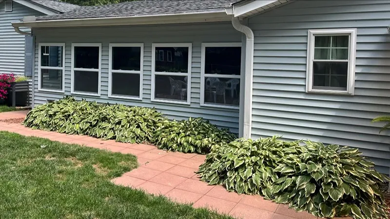 Overgrown garden bed before renovation in Lake County Ohio