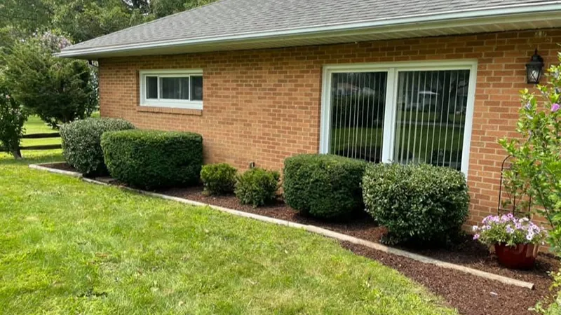 Finished hedge after professional trimming in Northeast Ohio