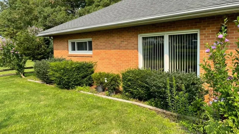 Overgrown hedge before trimming in Northeast Ohio