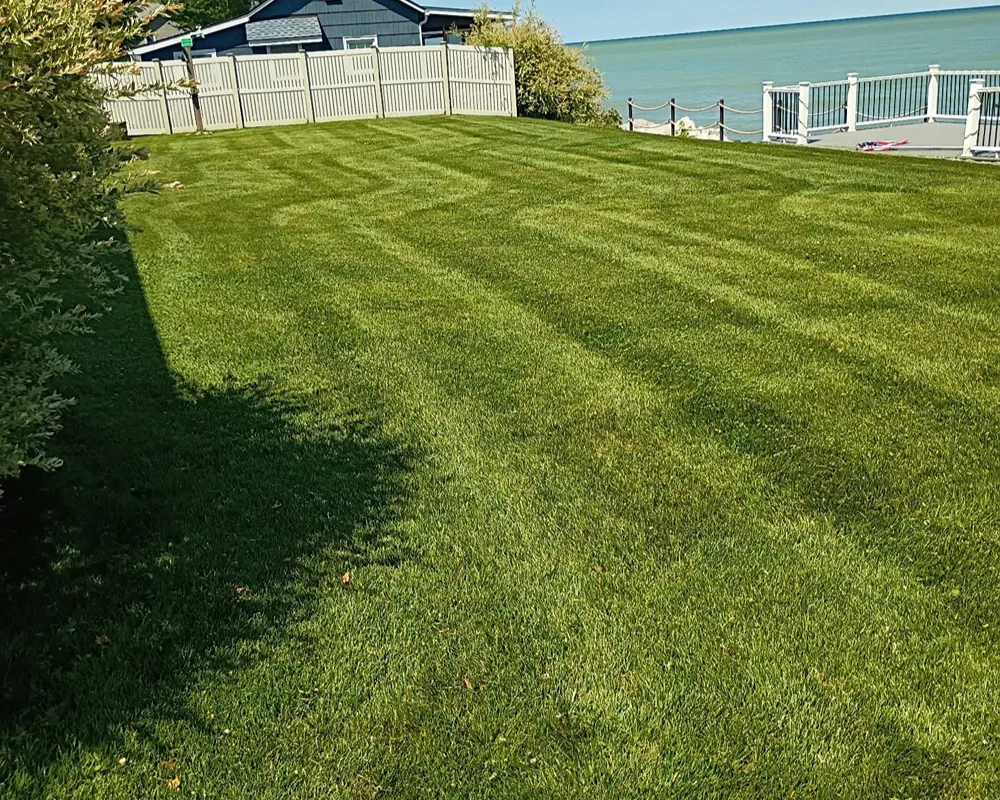 Professional lawn care and mowing service in Lake County Ohio