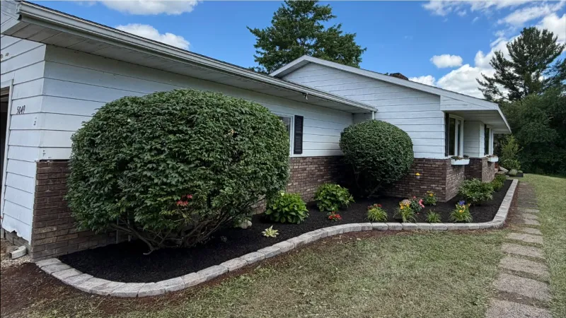 Native plant landscaping after renovation in Lake County Ohio