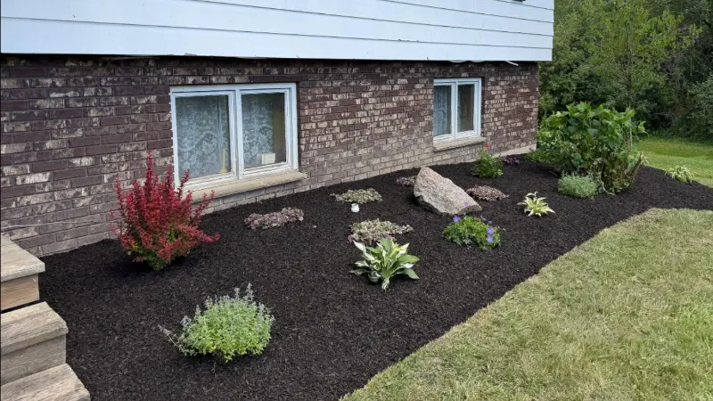 Finished native plant landscape at a Northeast Ohio home