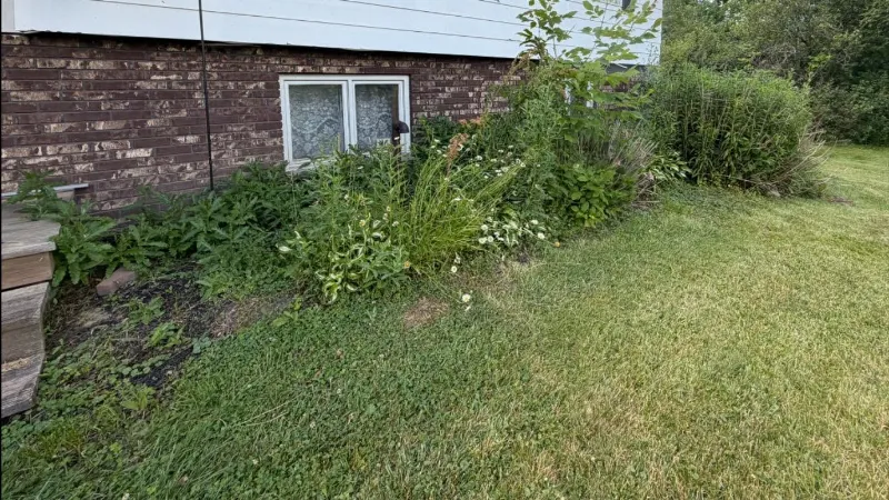 Residential garden before native plant landscaping in Northeast Ohio