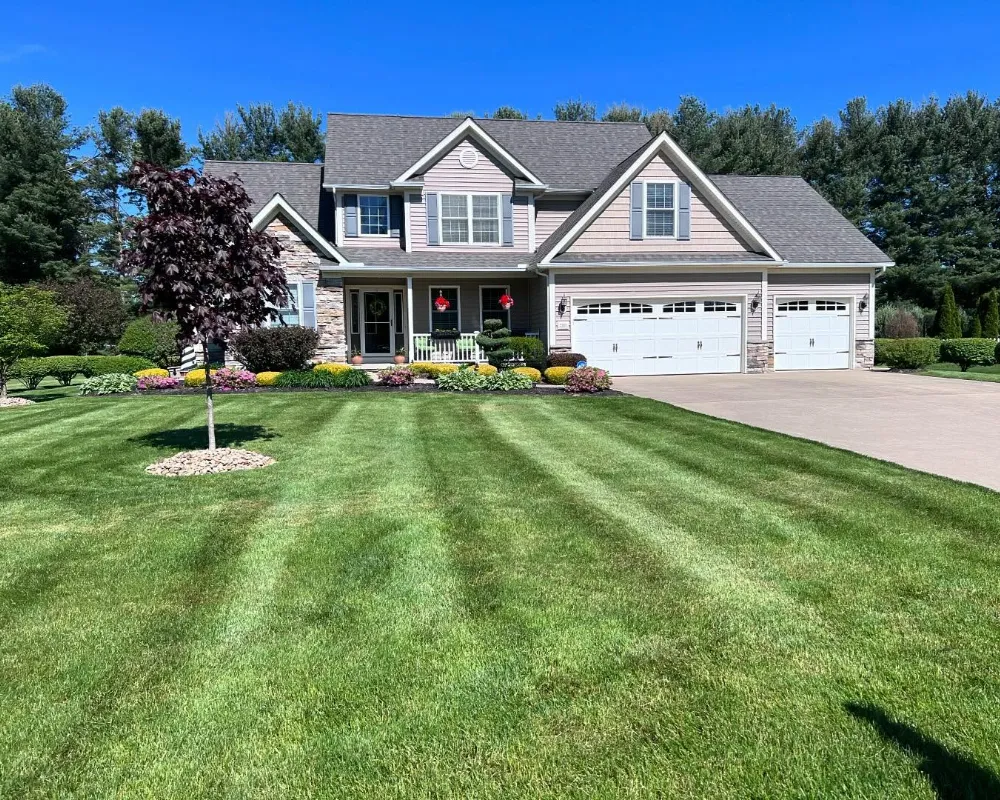 New lawn installation after clearing an overgrown property in Lake County Ohio