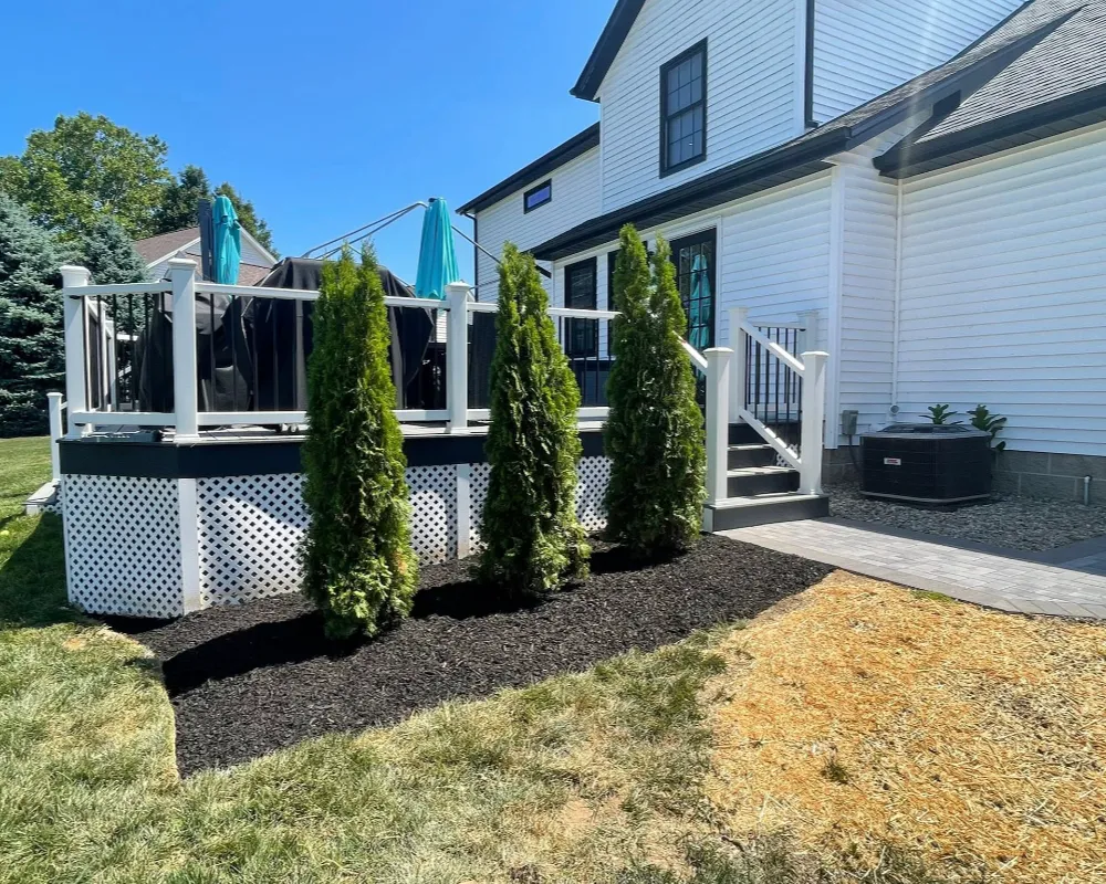 Tree and shrub planting after brush clearing in Lake County Ohio