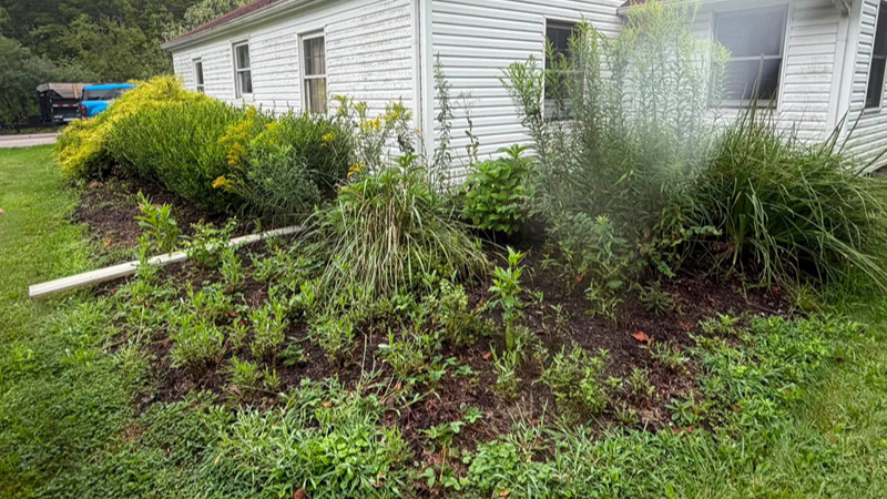 Residential property before landscape design in Lake County Ohio